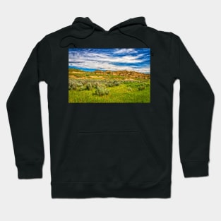 Theodore Roosevelt National Park North Unit Hoodie